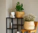 Cómo decorar espacios pequeños en casa u oficina